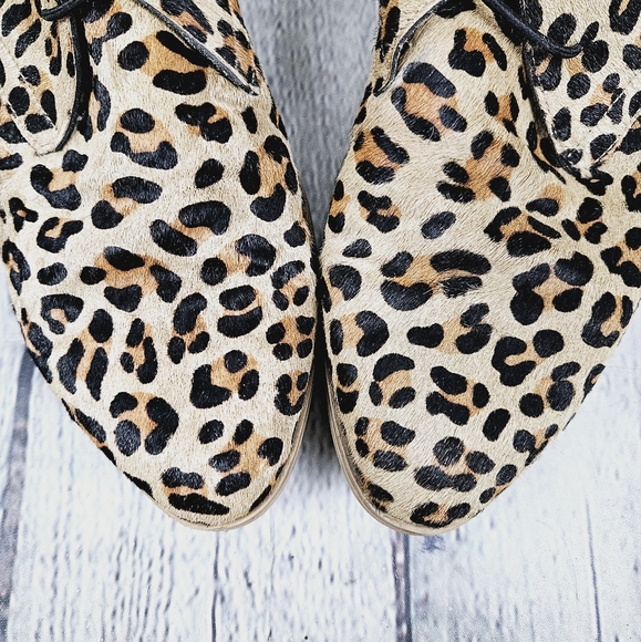 DJANGO & JULIETTE | Karaf ocelot pony hair leather slipon laceup ankle boots - Picture 5 of 12